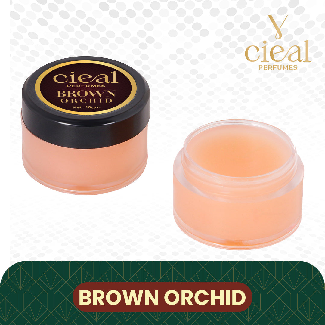CIEAL Solid Perfume Set of 3 – Amber Wood | Black Oud | Brown Orchid